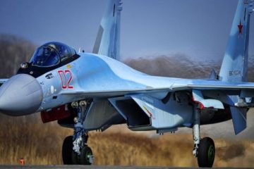 Су-35С в небе Сирии: боевые возможности
