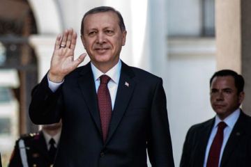 Эрдоган балансирует на грани путча