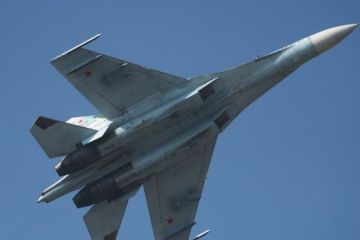 Пентагон предупредил о возможной эскалации напряженности из-за Су-27