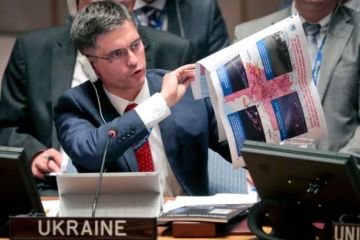 В Киеве мечтают «под шумок» захватить Крым и Кубань