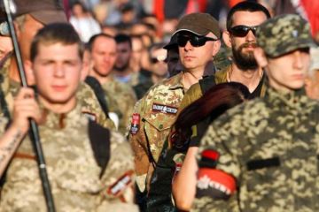 «Правый сектор» просит в Вильнюсе «веник и совок»