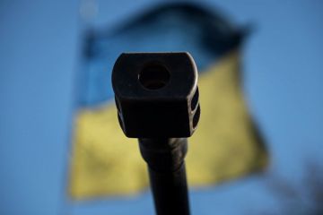 Палата представителей США одобрила поставки Украине летального оружия