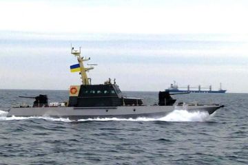 «Москитный флот» — секретное оружие Украины