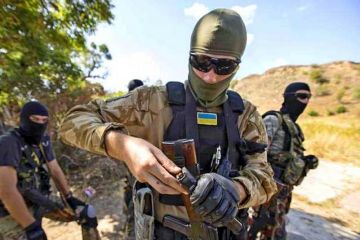 Почему украинские спецслужбы в Крыму делают все, что хотят?