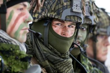 НАТО ищет русскоговорящие мишени за 120 евро