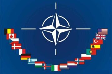 НАТО на грани своего распада?
