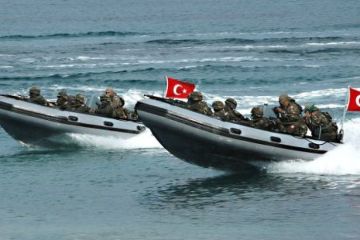 Новый облик турецкой армии в начале XXI века