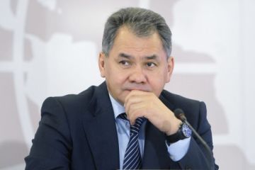 Сергей Шойгу: из минобороны – в президенты?