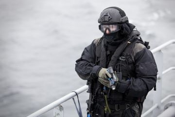 Beredskapstroppen (BT) &quot;Delta&quot; - специальное антитеррористическое подразделение полиции Норвегии