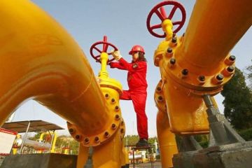 Запрет на импорт газа из России подорвёт экономику Европы
