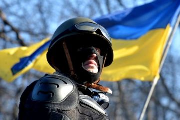 Нет ни слава Украине, а позор моей взбесившейся стране!