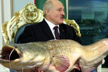 Нарезка острот Лукашенко