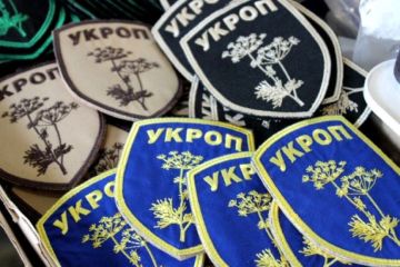 Хрущёв, Украина и мир: укроп против крапивы