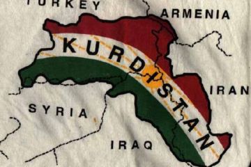 Суверенный Курдистан отвечает стратегическим интересам России