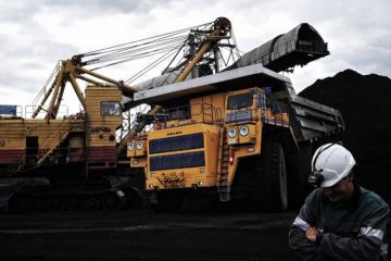 Дезактивированный уголь Украины