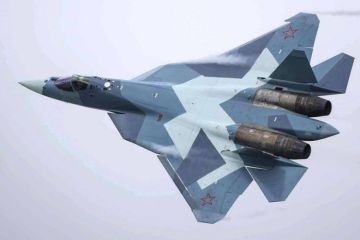 Зачем Пекину нужен российский истребитель Т-50