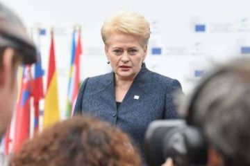 Россия может дать жесткий ответ на хамство Литвы