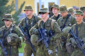 Прибалтийские страны ищут военный ответ «российской агрессии»