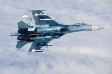 Шведские военные лгут об опасности от российских истребителей