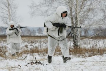 Стрелков дошел до Киева