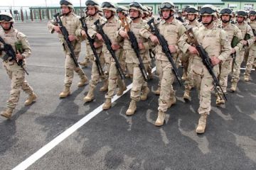 Грузинский спецназ: Абхазия, Юж. Осетия, Донбасс