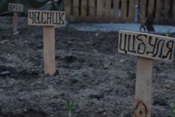Киев превращается в аграрную столицу: жители всё чаще разбивают огороды под окнами домов
