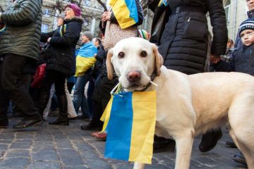 Украина в роли собаки