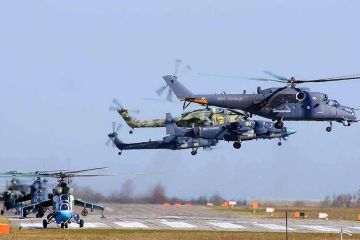 От &quot;Мыколки&quot; до &quot;Аллигатора&quot;: боевые вертолеты России