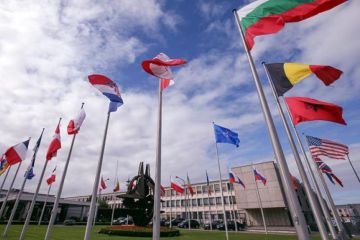 НАТО «поглотило» ОБСЕ