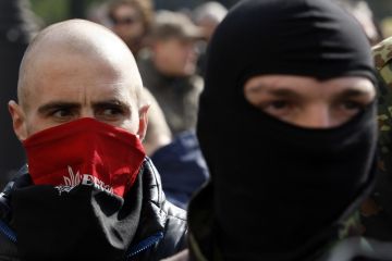 «Правый сектор» спровоцировал рост сепаратизма в венгерской колыбели Украины
