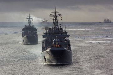 Битва за Арктику: США объявляют гонку ледоколов