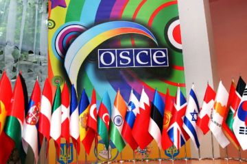 Почему все недовольны работой ОБСЕ на линии фронта в Донбассе
