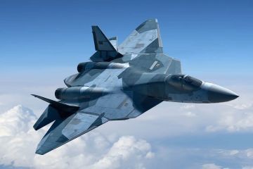 Австралия обеспокоена боевыми возможностями F-35 для борьбы с российским истребителем Т-50