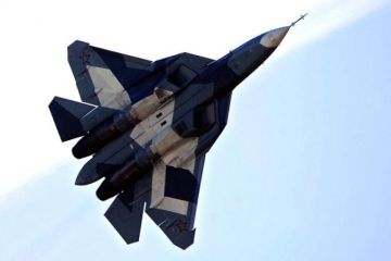 FGFA: Дели подрезает крылья Москве