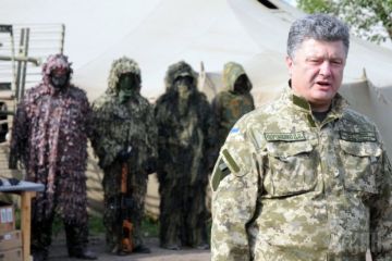 Порошенко ввязался в войну за Закарпатье