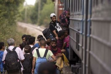 DWN: Кризис с беженцами грозит разобщенной Европе распадом