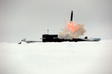 Ядерный подводный беспилотник: чем ответит США на ракету мощностью в десятки мегатонн?