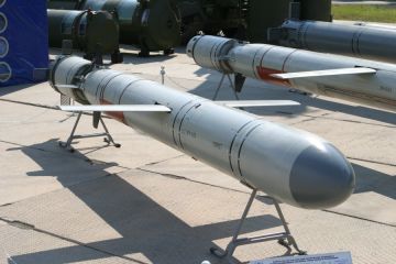 &quot;Кузькина мать&quot; ХХI века: Российские крылатые ракеты вызвали шок у США и НАТО