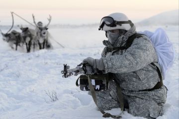 Оленей послали в разведку