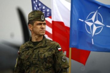 Кто хочет воевать с Россией, или Почему уволилось командование Войска польского?