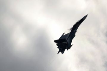 США пожаловались на перехват разведчика российским Су-27 над Балтикой