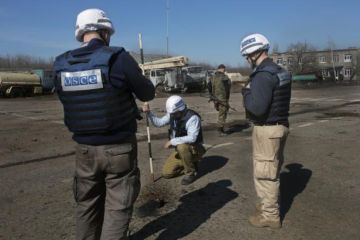 Украина кличет полицаев