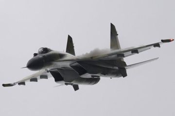 Врагам России следует опасаться истребителя Су-35