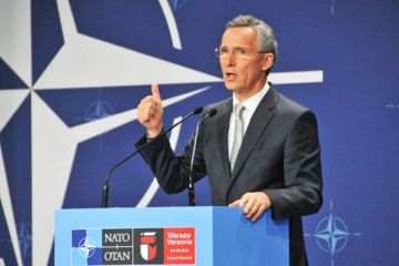 Генсек НАТО переживает за Сирию