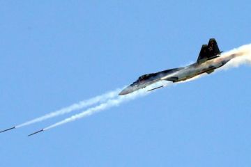 «В воздушном бою русский Су-35 наголову сильнее F-22»