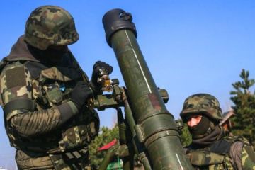 Украинские военные угодили под собственный «Молот»