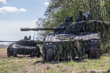 Прогулка по-эстонски. Солдаты НАТО заблудились в огороде