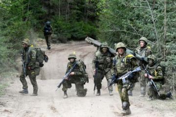 Как «горячий эстонский парень» ружьём и матом войско НАТО прогнал