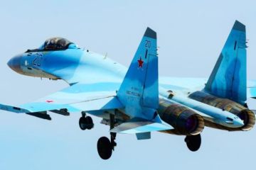 Су-35 vs F-22: кто сильнее в воздушном бою