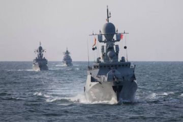 Российский ВМФ превращается во «флот береговой обороны»